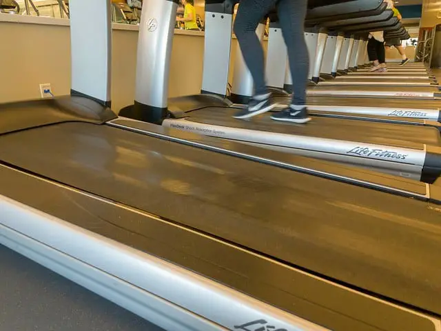 treadmills on gym